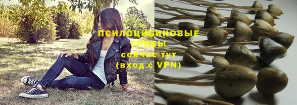 круглые Вязники